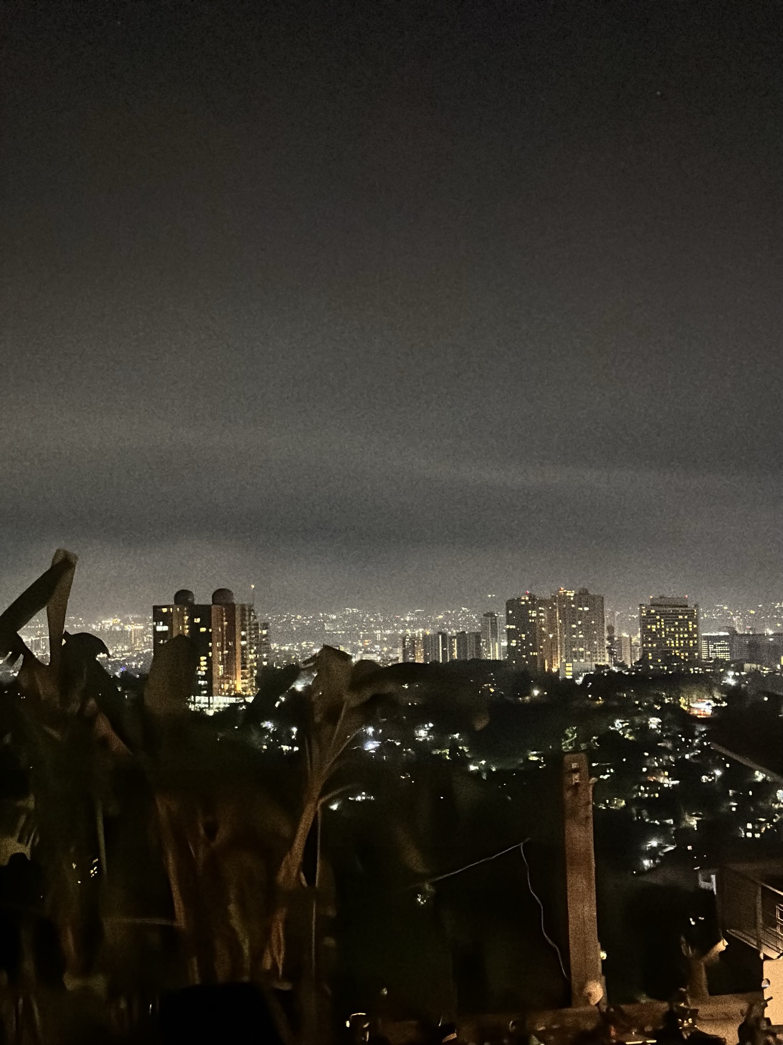 Cebu city lights at night from a hilltop view