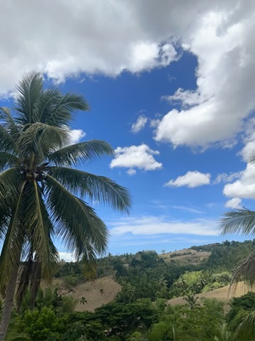 Lush green Cebu mountain view with coconut palms and blue sky